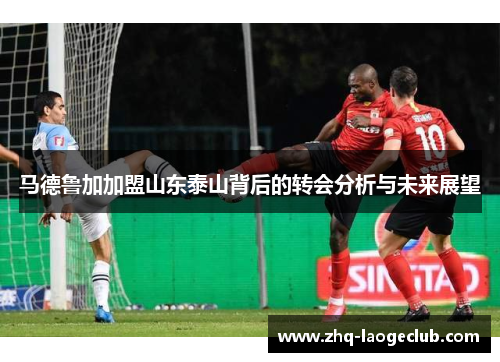 马德鲁加加盟山东泰山背后的转会分析与未来展望